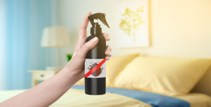 Hand hält ein Insektenschutz-Spray im Schlafzimmer als Teaserbild zum Thema Schutz vor Bettwanzen, Insekten und Ungeziefer im Haushalt