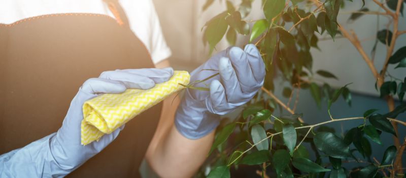 Aqua Clean das Original | AQUA CLEAN - Direkt vom Hersteller